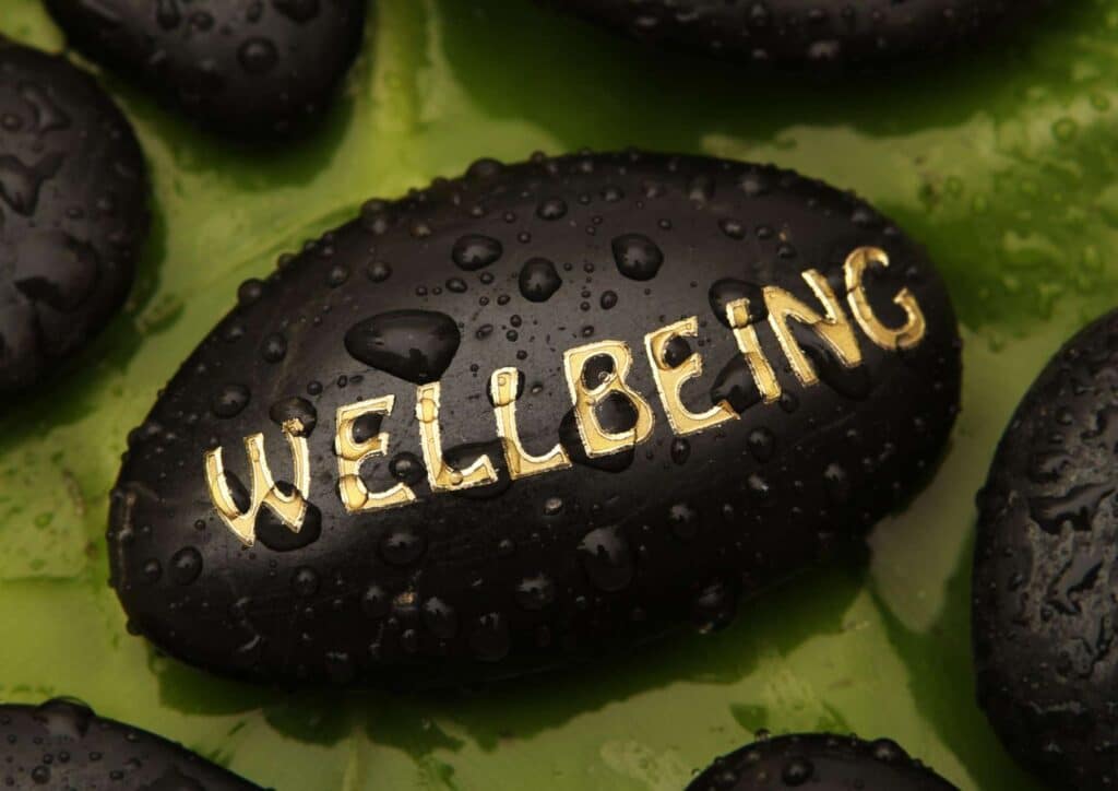 What Is School Wellbeing? 1 Black stones with water droplets symbolise the concept of wellness and tranquility in a serene environment.