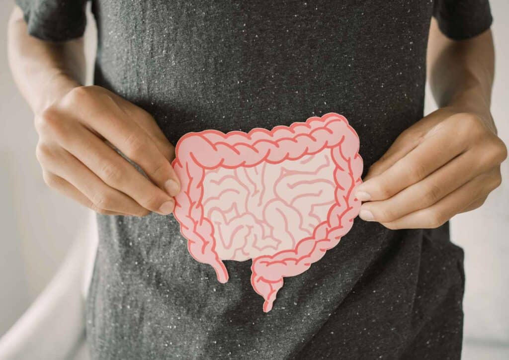 Nutrition For Runners 9 A person holding a cutout model of a human stomach, demonstrating its shape and structure for educational purposes.