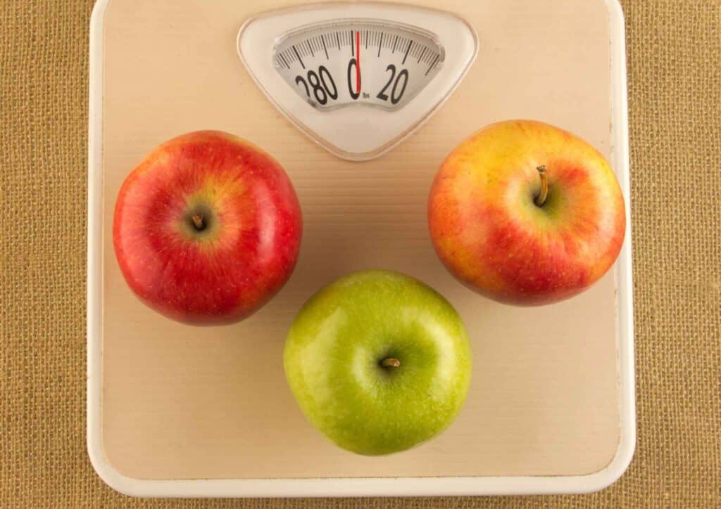 How Much Does a Weight Loss Nutritionist Cost in Sydney? 2 How Much Does A Weight Loss Nutritionist Cost Australia