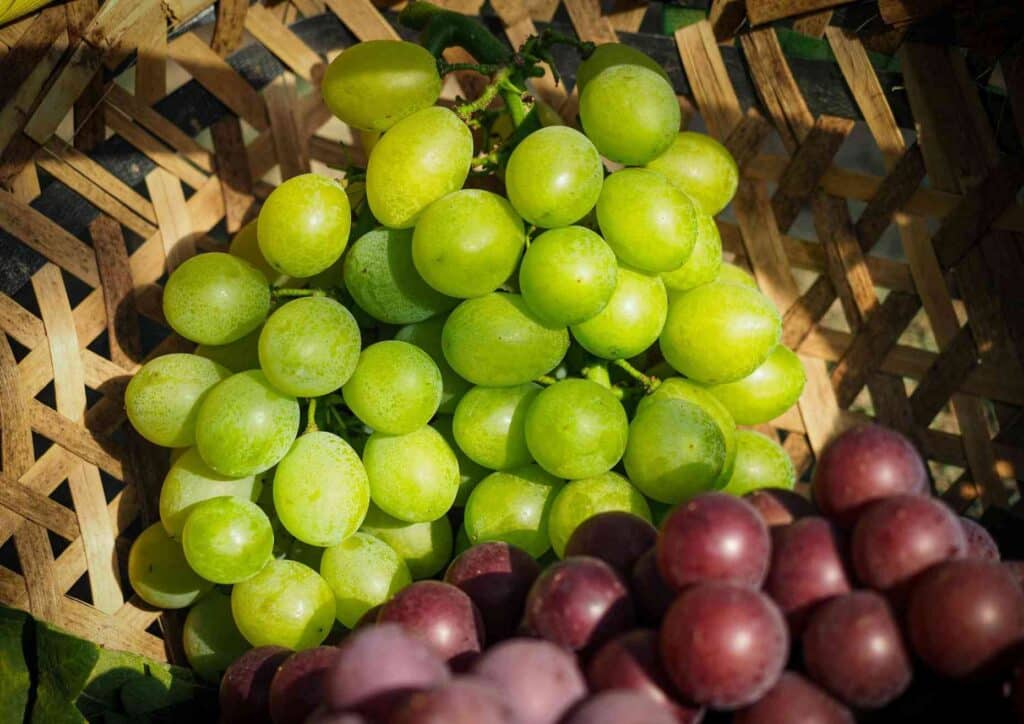 Are Grapes Good for Weight Loss? 1 Fresh grapes, green grapes and red grapes in a basket, healthy organic fruit display.