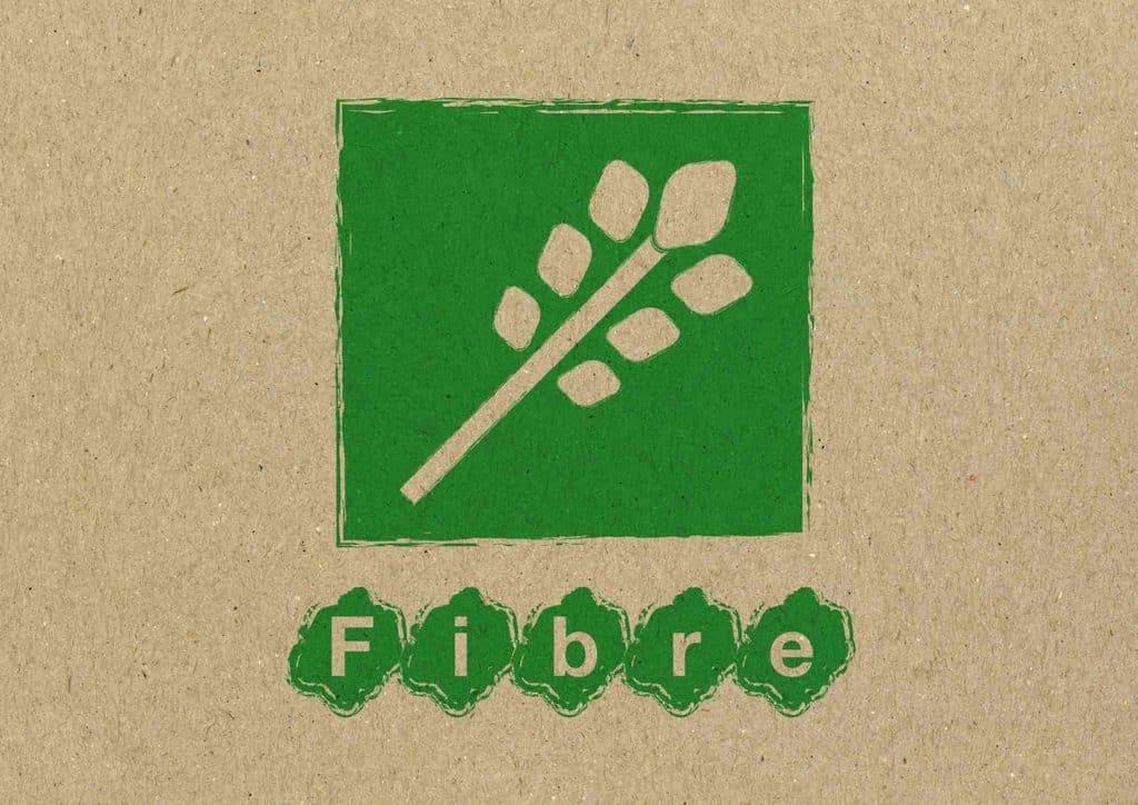 Do Chia Seeds Help With Weight Loss? 3 Green and white logo representing a fibre brand, featuring stylized text and a modern design.