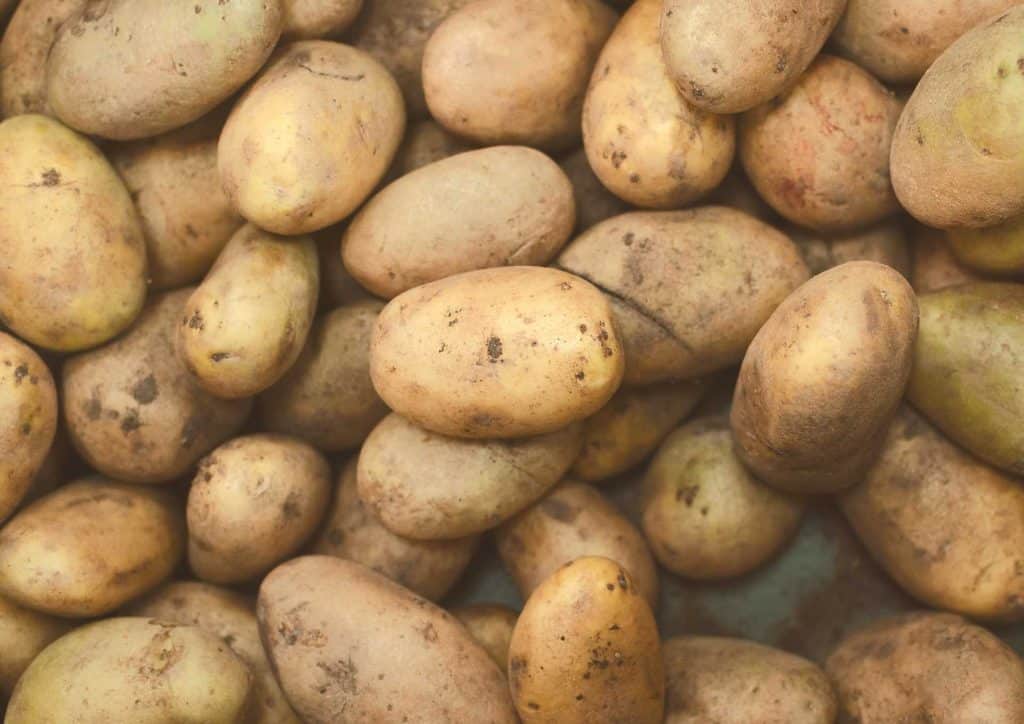 Is Sweet Potato Good for Weight Loss? 6 A large pile of fresh, unwashed potatoes stacked together on a surface.