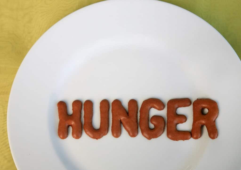 Do Chia Seeds Help With Weight Loss? 4 The word "hunger" is creatively arranged using chocolate pieces on a white plate.