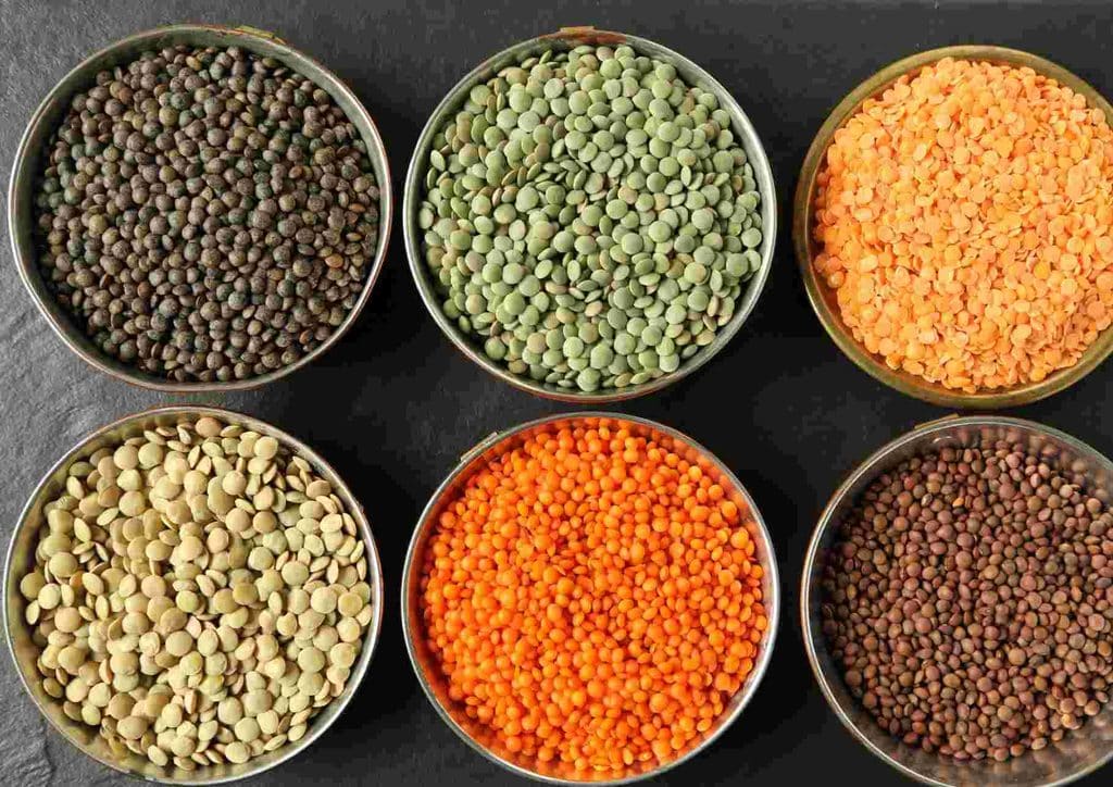 The Best Foods for Weight Loss 11 A collection of various lentil types displayed in bowls, showcasing their diverse colours and sizes.