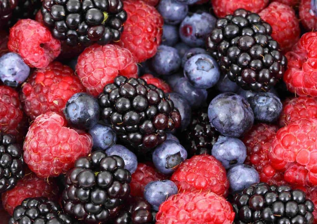 The Best Foods for Weight Loss 26 A close-up view of a bowl filled with an assortment of fresh berries, including strawberries, blueberries, and raspberries.
