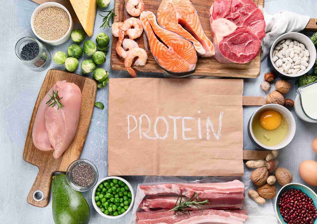 High-Protein Foods for Weight Loss 1 An infographic highlighting the importance of protein as a vital nutrient for the body's health and function.