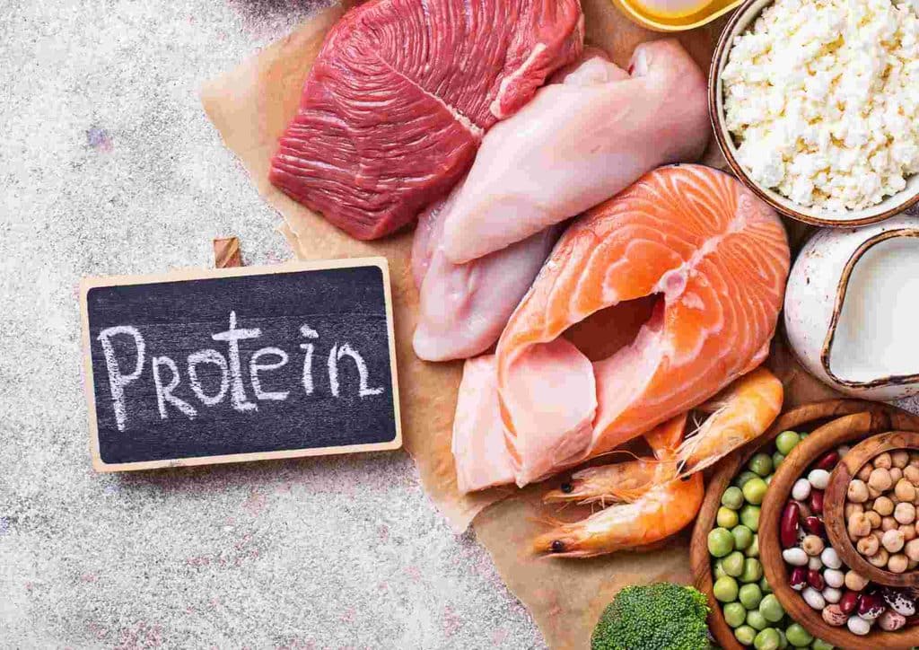 The Best Foods for Weight Loss 4 A table displaying various protein foods, with the word "protein" prominently featured.