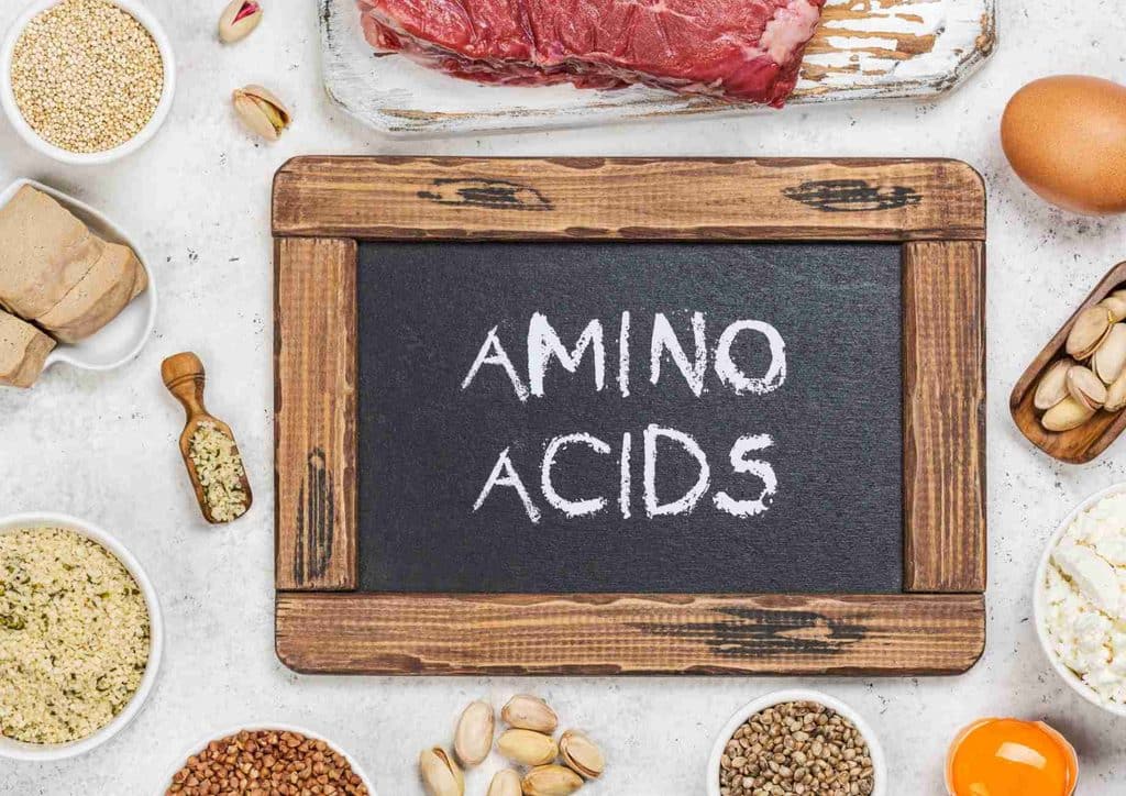 High-Protein Foods for Weight Loss 15 Diagram illustrating various amino acids and their health benefits, highlighting their role in muscle growth and recovery.