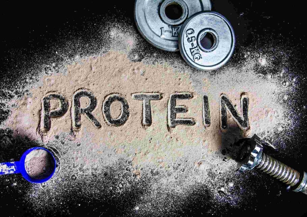 High-Protein Foods for Weight Loss 13 The word "protein" displayed prominently on a plain white background.