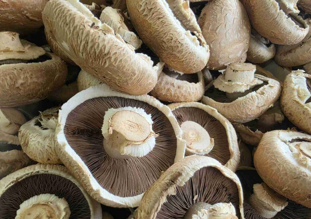 The Best Foods for Weight Loss 18 A pile of mushrooms featuring a mix of brown and white caps, showcasing their natural textures and colours.