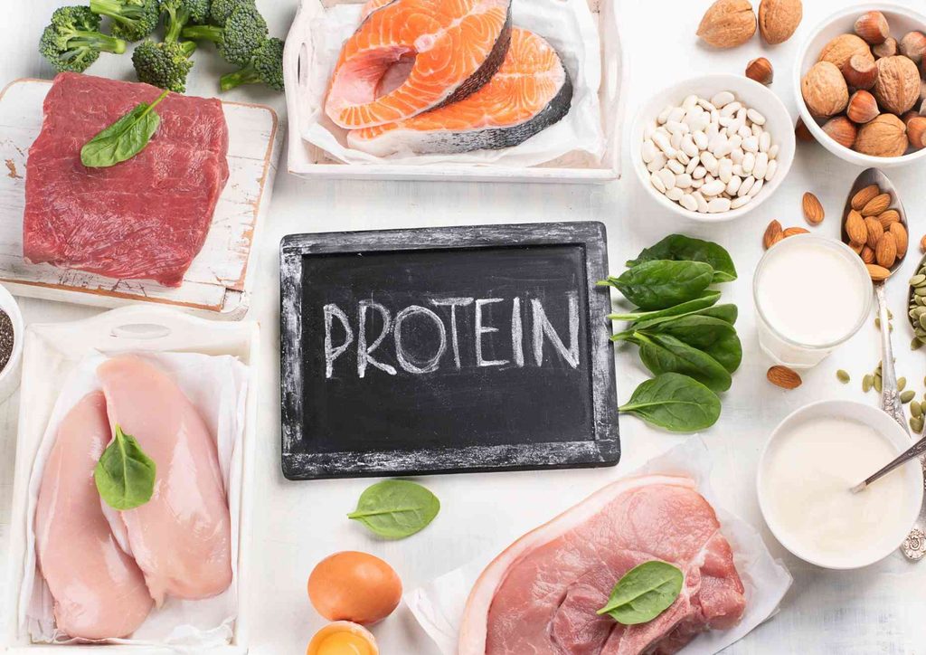 High-Protein Foods for Weight Loss 3 A graphic illustrating the importance of protein as a vital nutrient for overall body health and function.