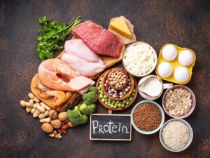 Proteins - Building and Repair - Jake Biggs - Clinical Nutritionist - Macronutrients and Micronutrients