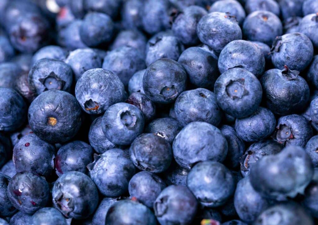 Best Foods for Brain Health 2 The Best Foods For Brain Health