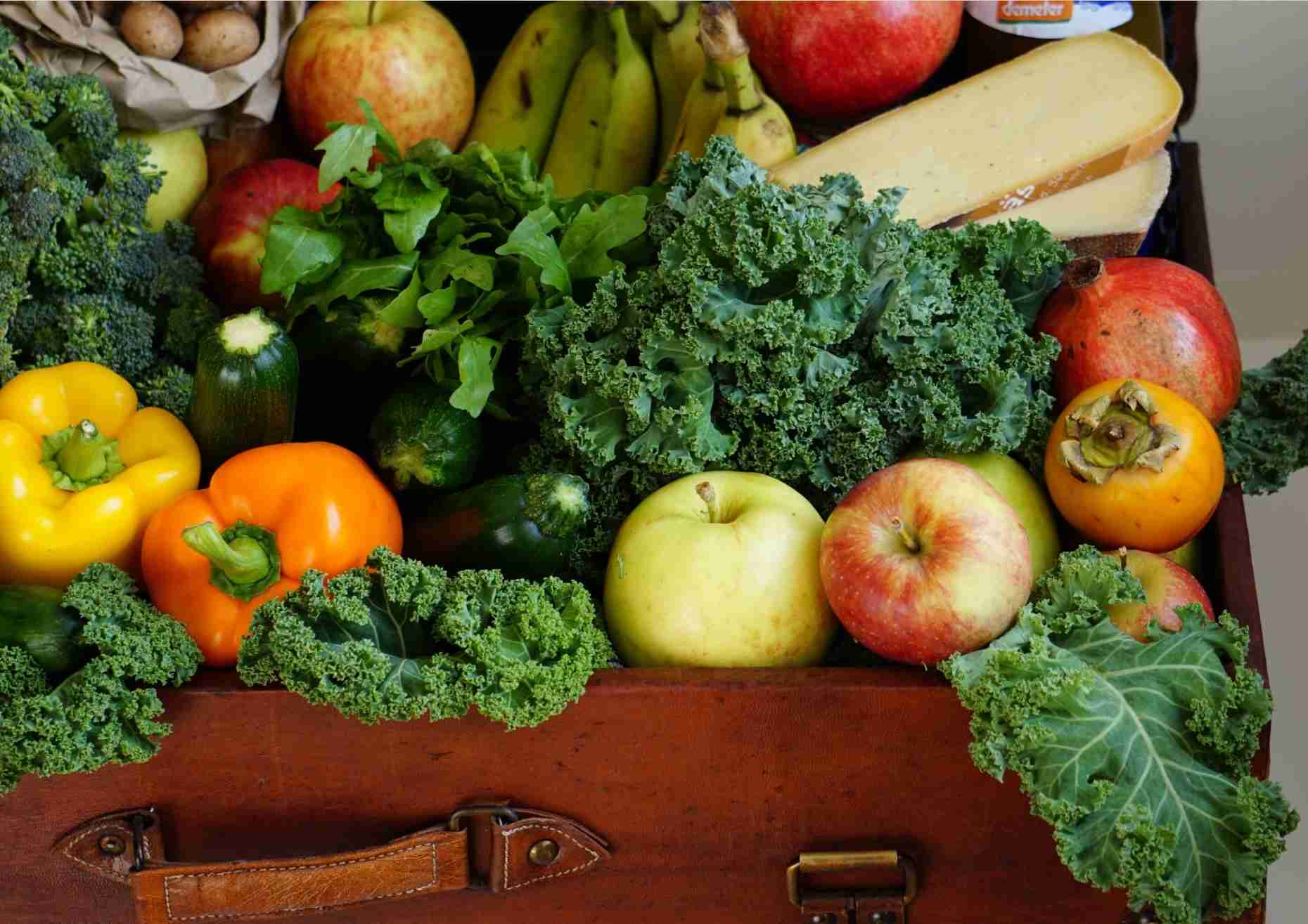 Jake Biggs, vegan nutritionist in Sydney providing complete and balanced meal guidance.