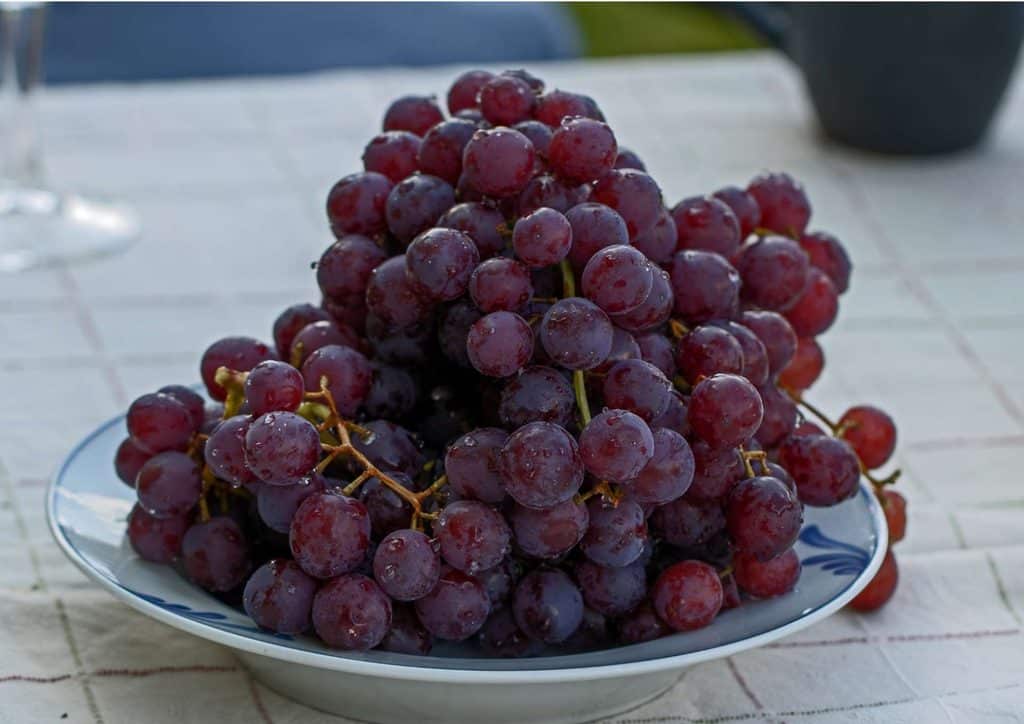 Are Grapes Good for Weight Loss? 5 A bowl filled with fresh green and purple grapes sits on a wooden table.