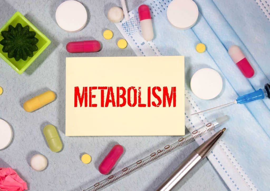 How to Speed Up Your Metabolism (What Actually Works) 4 Diagram illustrating metabolism, showing how the body converts food into energy for effective weight loss.