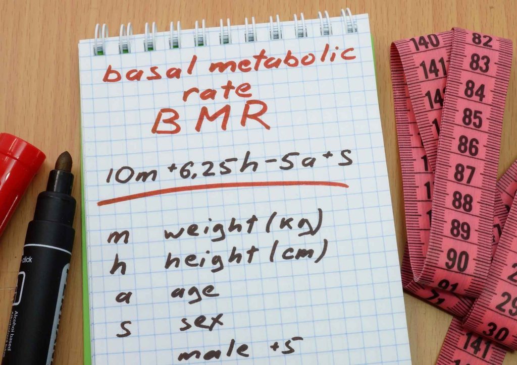 How to Speed Up Your Metabolism (What Actually Works) 7 Diagram illustrating basal metabolic rate (BMR) with key factors affecting metabolism and energy expenditure.