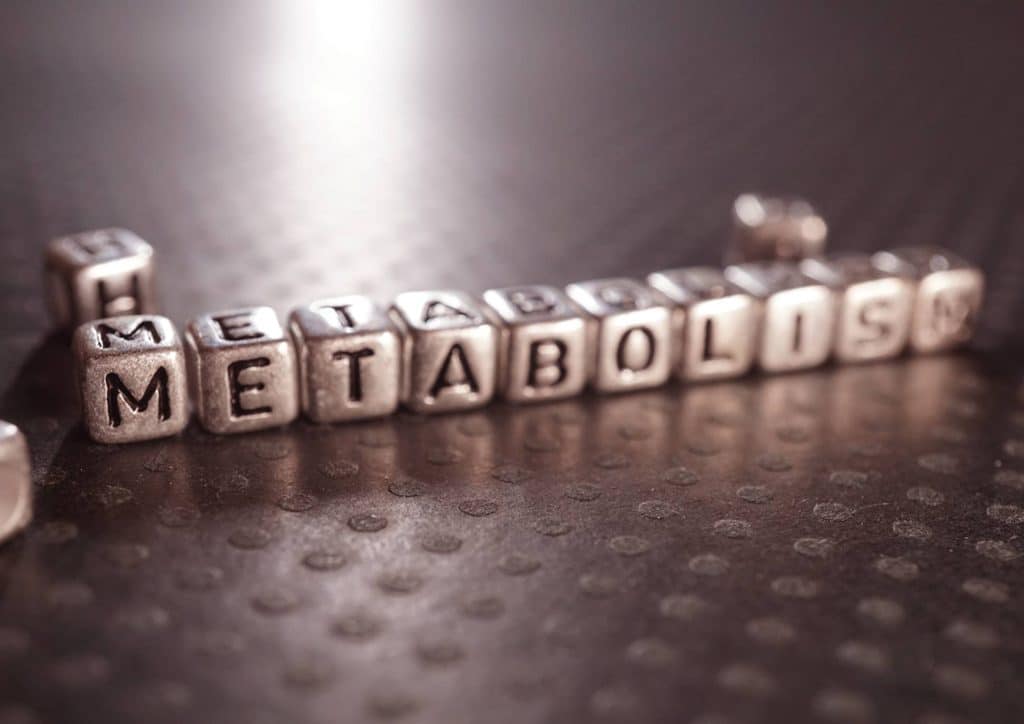 How to Speed Up Your Metabolism (What Actually Works) 10 Diagram illustrating metabolism, showing the breakdown of food into energy through various biochemical processes.