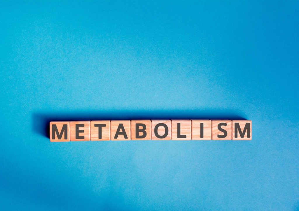 How to Speed Up Your Metabolism (What Actually Works) 16 The word "metabolism" displayed prominently on a blue background.