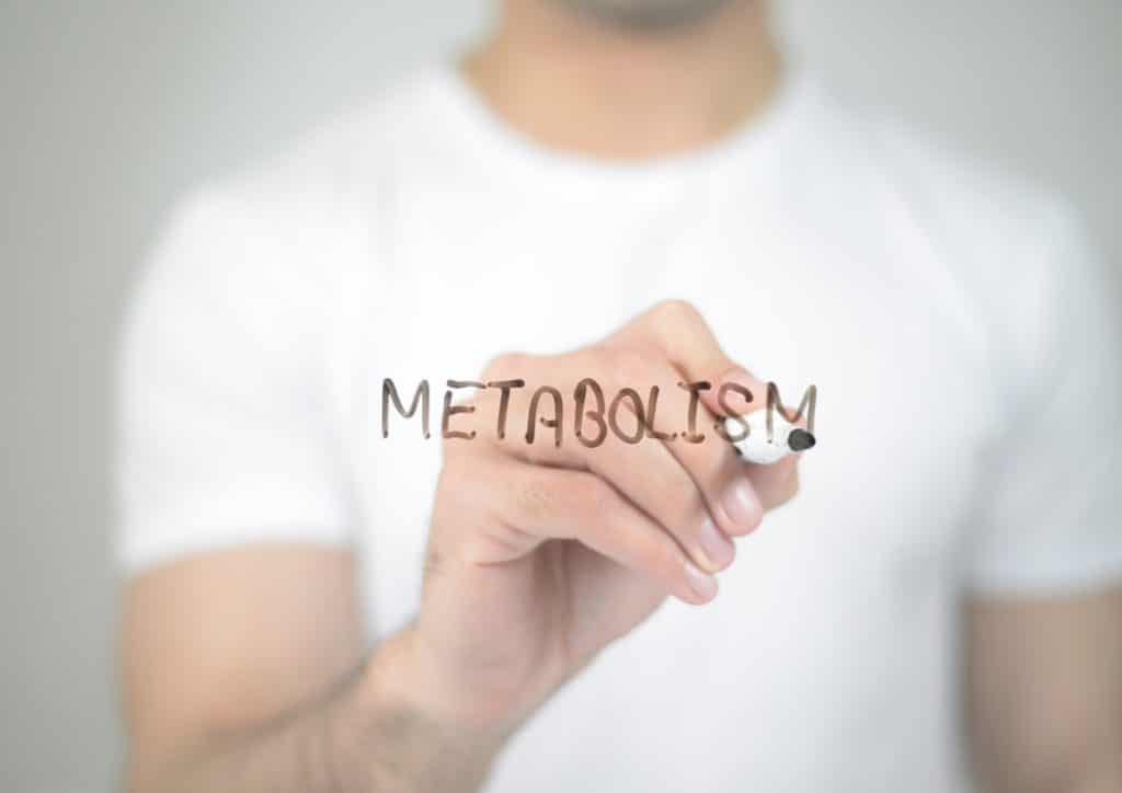 How to Speed Up Your Metabolism (What Actually Works) 20 The word "metabolism" written in bold letters on a transparent marker against a plain background.