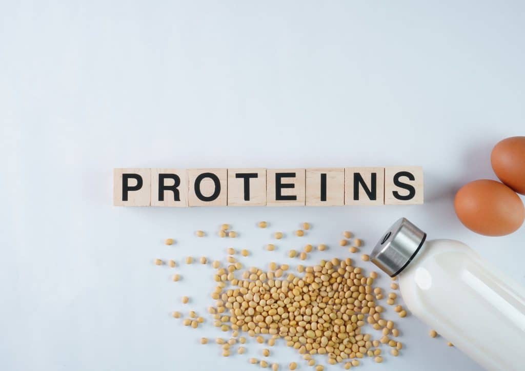 How to Speed Up Your Metabolism (What Actually Works) 14 Block letters spelling "PROTEINS" in bold, colourful font against a plain white background.